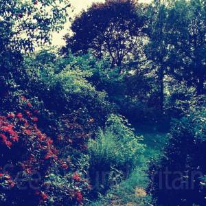 “taken before 2009”