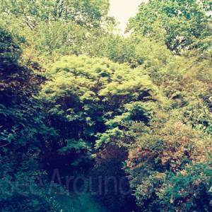 “taken before 2009”