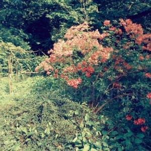 “taken before 2009”