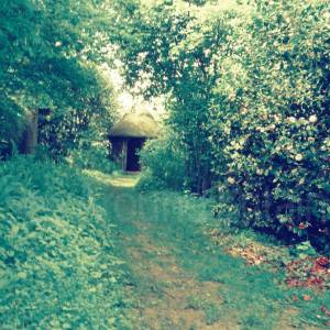 “taken before 2009”