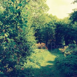 “taken before 2009”