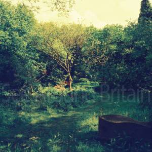 “taken before 2009”