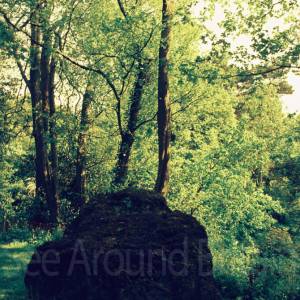 “taken before 2009”