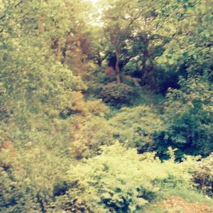 “taken before 2009”