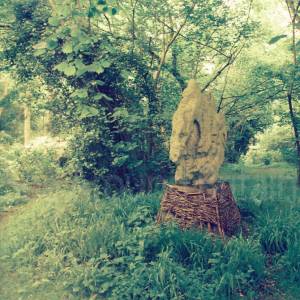 “taken before 2009”