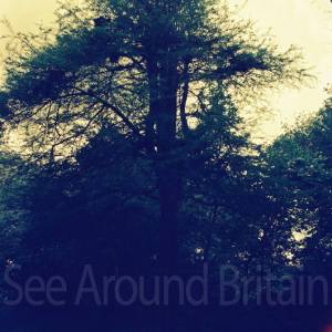 “taken before 2009”