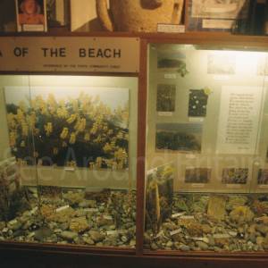 “taken before 2009”