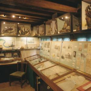 “taken before 2009”