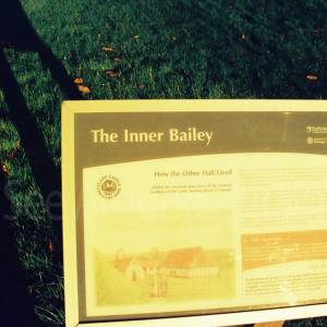 “taken before 2009”