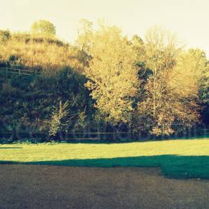 “taken before 2009”