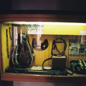 Photograph taken before 2009