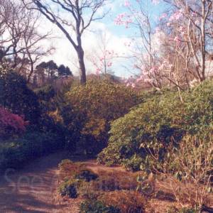 “taken before 2009”