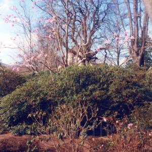 “taken before 2009”