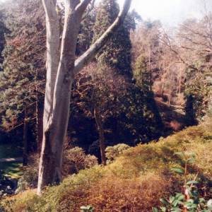 “taken before 2009”