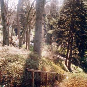 “taken before 2009”