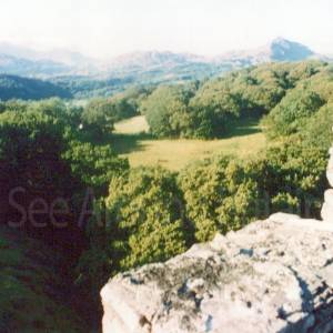 “taken before 2009”