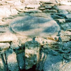 “taken before 2009”