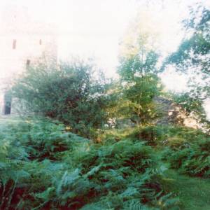 “taken before 2009”