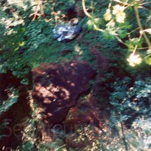 “taken before 2009”