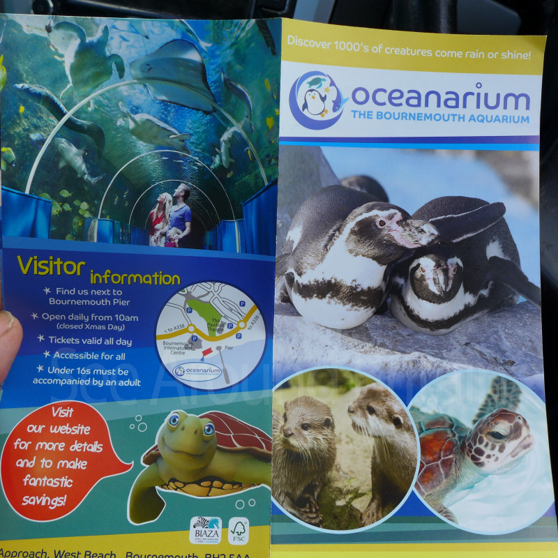 Oceanarium Bournemouth Aquarium Dorset See Around Britain Oceanarium Bournemouth Aquarium Dorset See Around Britain