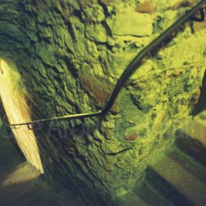 Photograph taken before 2009