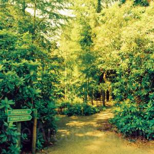 “taken before 2009”