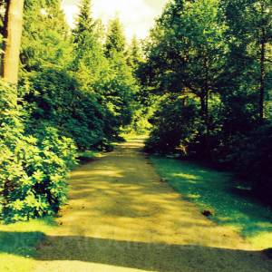 “taken before 2009”