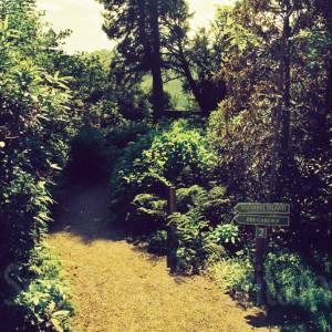 “taken before 2009”