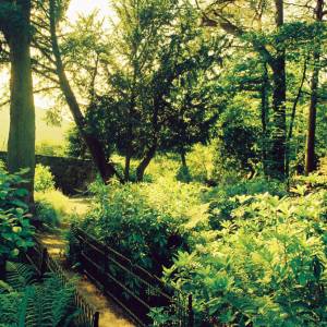 “taken before 2009”