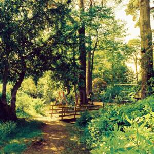 “taken before 2009”