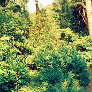 “taken before 2009”