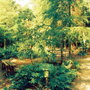 “taken before 2009”