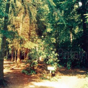 “taken before 2009”