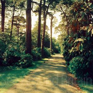 “taken before 2009”