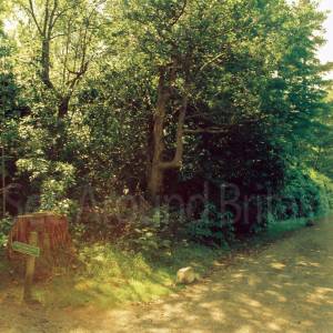 “taken before 2009”