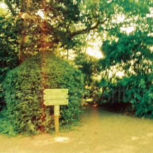 “taken before 2009”