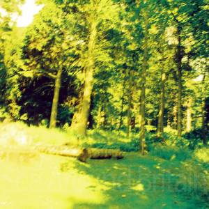 “taken before 2009”