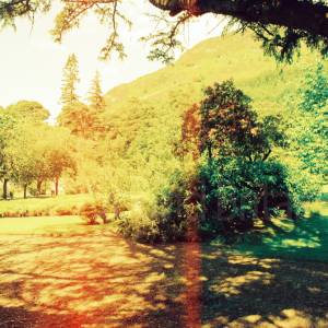 “taken before 2009”