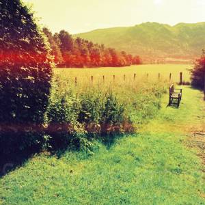 “taken before 2009”