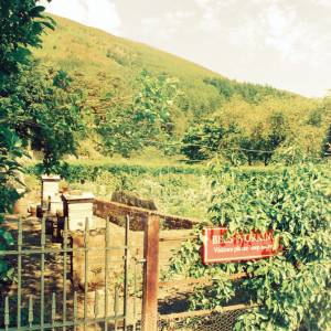 “taken before 2009”