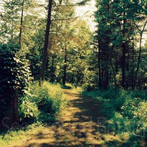 “taken before 2009”