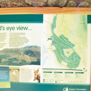 “taken before 2009”