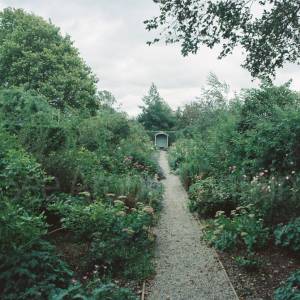 “taken before 2009”