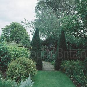 “taken before 2009”