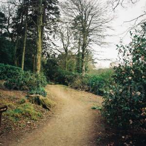 Taken before 2009