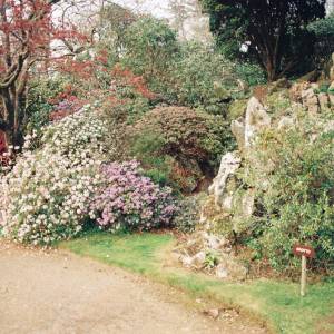 Taken before 2009