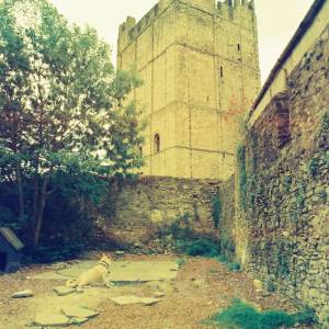 “taken before 2009”