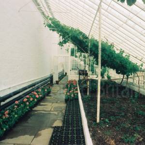 Photograph taken before 2009