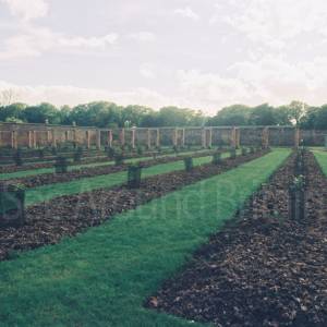 Photograph taken before 2009