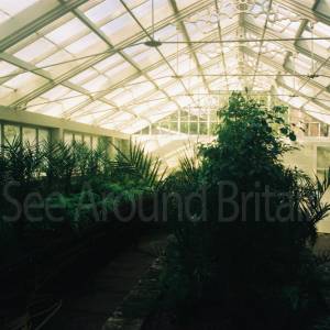 Photograph taken before 2009